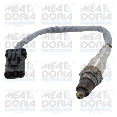 Oxygen Sensor